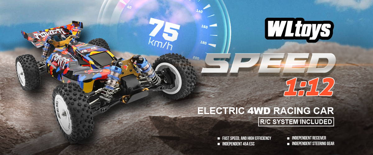 WLToys RC Car HeliDirect